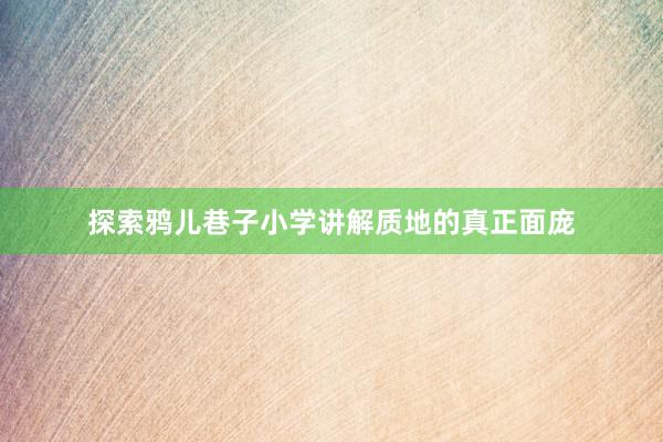 探索鸦儿巷子小学讲解质地的真正面庞